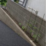 おるたな菜園始めました！！